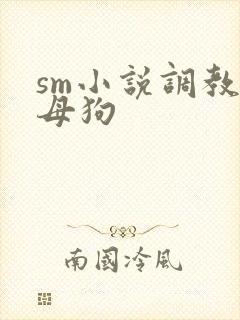 sm小说调教小母狗