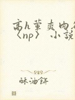 高h荤爽肉欲文〈np〉 小说