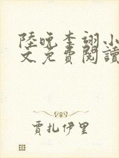 陆晚李翊小说全文免费阅读无弹窗封面