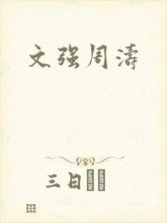 文强周涛