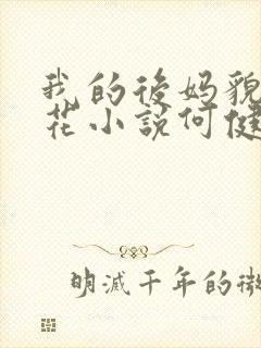 我的后妈貌美如花小说何健免费阅读