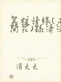 驾校情缘(老树开花)孙潇潇第一次趣笔阁封面