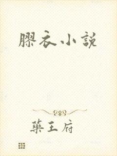 胶衣小说封面