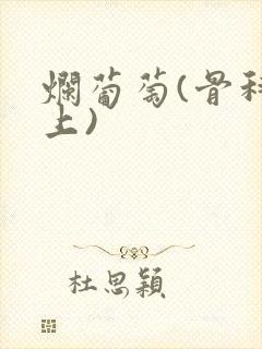 烂葡萄(骨科年上)