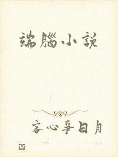 端脑小说封面