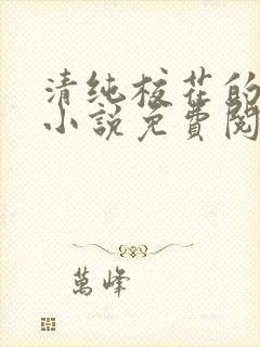 清纯校花的堕落小说免费阅读无弹窗