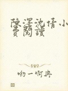 陈泽沈倩小说免费阅读