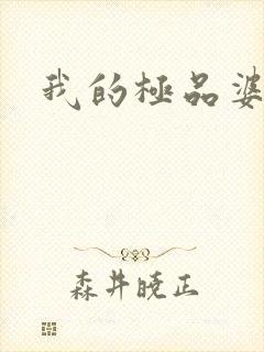 我的极品婆婆