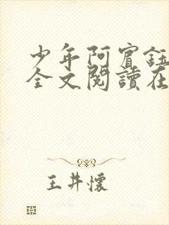 少年阿宾钰慧篇全文阅读在线封面