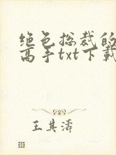 绝色总裁的超级高手txt下载全本