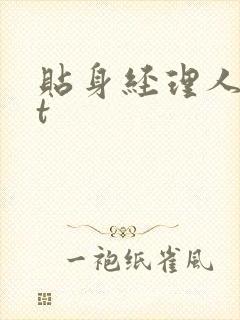 贴身经理人txt