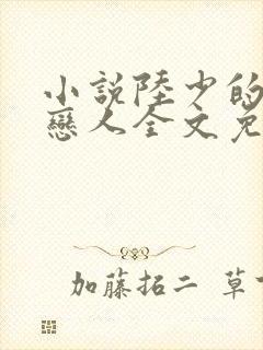 小说陆少的秘密恋人全文免费阅读