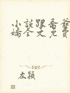 小说跟乔爷撒个娇全文免费阅读封面