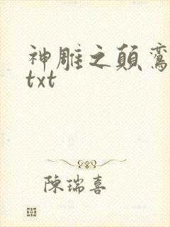 神雕之颠鸾倒凤txt