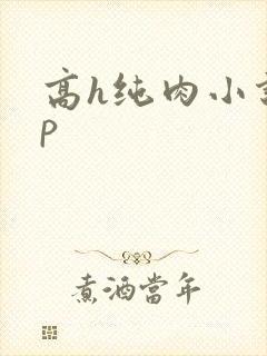 高h纯肉小说np封面