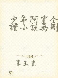 少年阿宾全文阅读小说无删减封面
