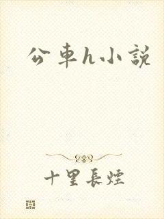 公车h小说封面