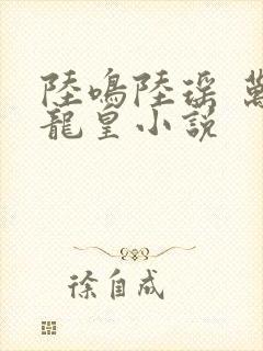 陆鸣陆瑶 万道龙皇小说