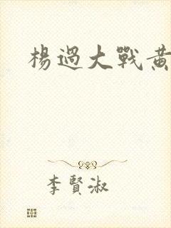 杨过大战黄蓉