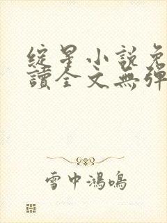 绽星小说免费阅读全文无弹窗