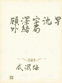 顾泽宇沈星晚番外结局封面