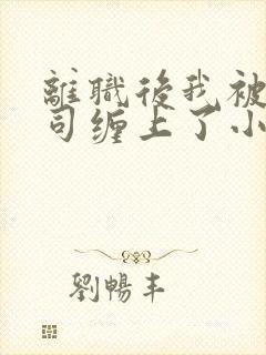 离职后我被前上司缠上了小说免费听书