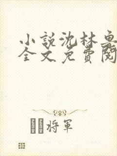 小说沈林鲁小荣全文免费阅读封面