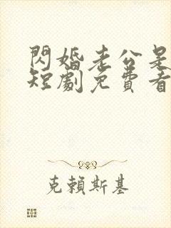 闪婚老公是大佬短剧免费看