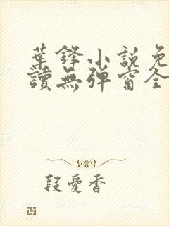 叶锋小说免费阅读无弹窗全文