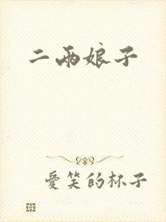 二两娘子封面