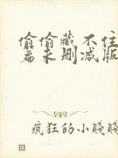 偷偷藏不住番外篇未删减版