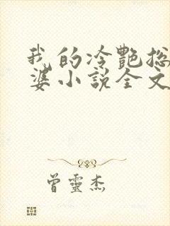 我的冷艳总裁老婆小说全文阅读封面