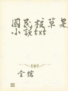 国民校草是女生小说txt