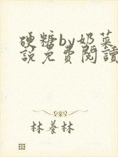 硬糖by奶菜小说免费阅读