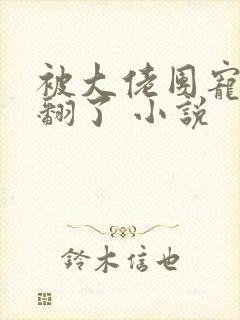 被大佬团宠后野翻了 小说封面