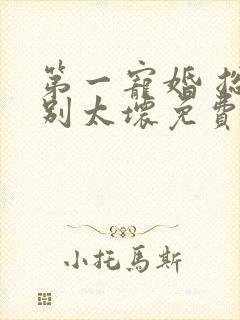 第一宠婚 总裁别太坏免费阅读