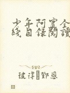 少年阿宾全集在线目录阅读全文原文封面
