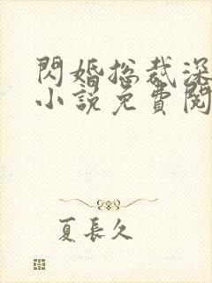 闪婚总裁深度爱小说免费阅读封面
