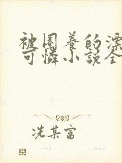 被圈养的漂亮小可怜小说全文阅读