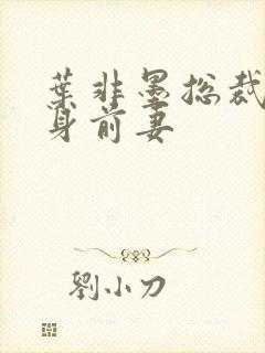 叶非墨总裁的替身前妻