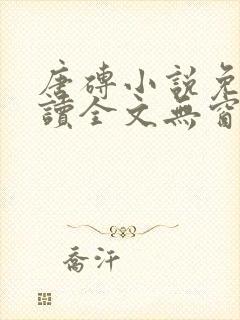 唐砖小说免费阅读全文无窗口封面