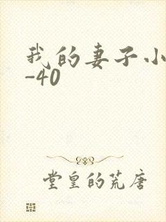我的妻子小谨1-40