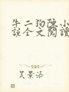 牛二狗陈小燕小说全文阅读