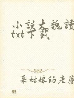小说大魏读书人txt下载