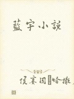 蓝宇小说