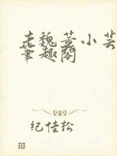 老魏董小芸全文笔趣阁