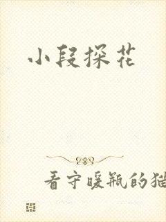 小段探花