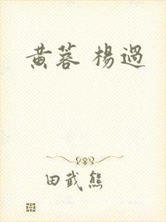 黄蓉 杨过