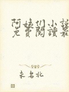 阿姨们小说全文免费阅读最新章节封面
