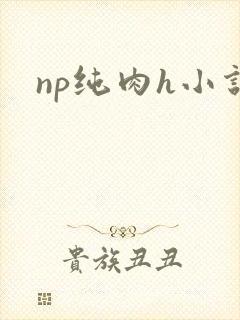 np纯肉h小说